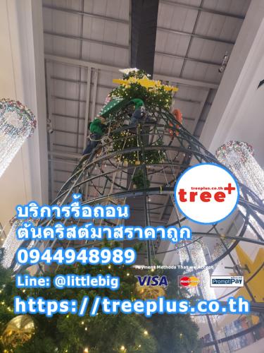 รื้อถอนต้นคริสต์มาส