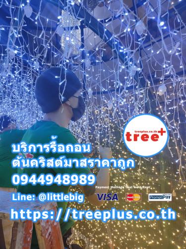 รื้อถอนต้นคริสต์มาส