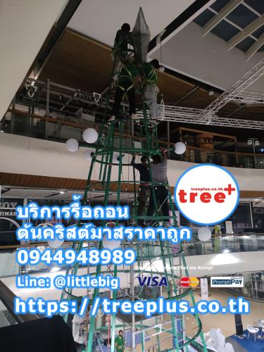 รื้อถอนต้นคริสต์มาส