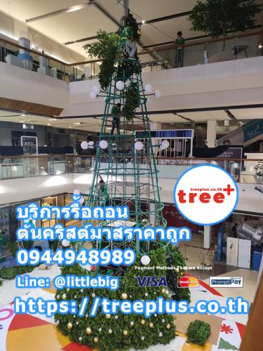 รื้อถอนต้นคริสต์มาส