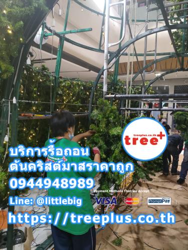 รื้อถอนต้นคริสต์มาส