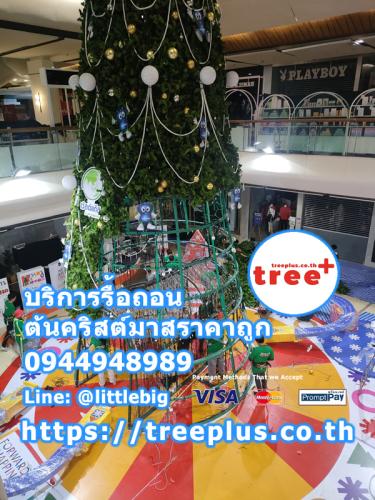 รื้อถอนต้นคริสต์มาส