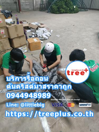 รื้อถอนต้นคริสต์มาส