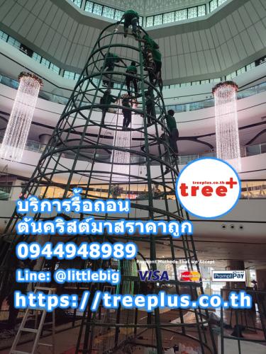 รื้อถอนต้นคริสต์มาส