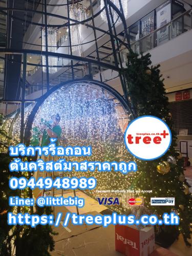 รื้อถอนต้นคริสต์มาส