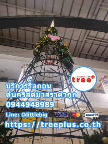รื้อถอนต้นคริสต์มาส
